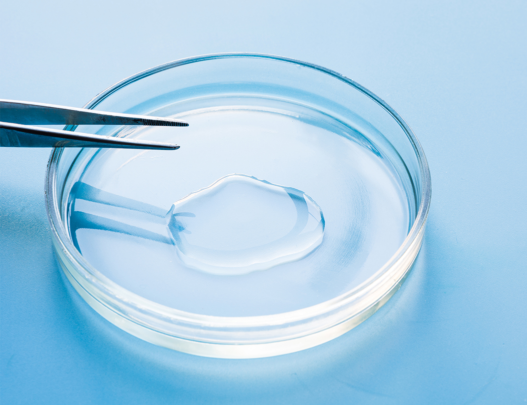 88038����˹(�й�)���޹�˾����