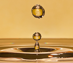 88038����˹(�й�)���޹�˾����