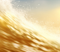 88038����˹(�й�)���޹�˾����