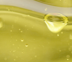 88038����˹(�й�)���޹�˾����