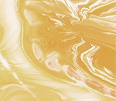 88038����˹(�й�)���޹�˾����